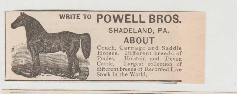 Powell Bros Horses Antique 1800s Ad, Shadeland PA