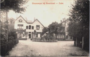Netherlands Bloemenvaas bij Boschlust Zeist Vintage Postcard C079