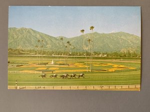 Santa Anita Park Arcadia CA Chrome Postcard A1156083641