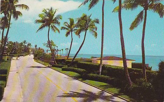 Florida Palm Beach Tropical Palm Beach 1971