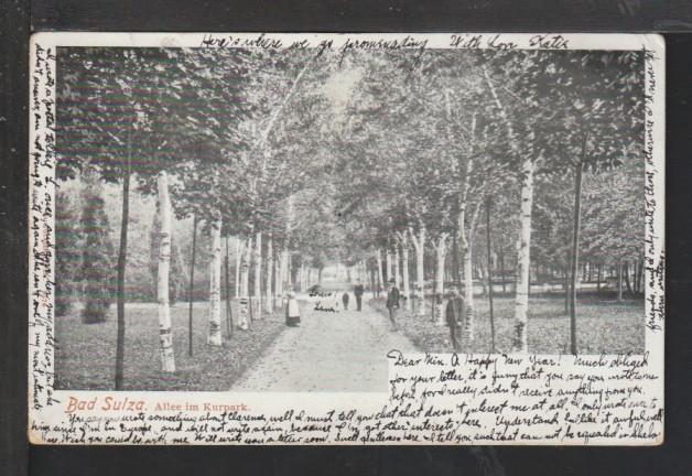 Park Walk,Bad Sulza,Germany Postcard 