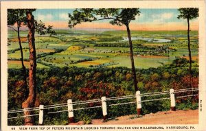 View from Peters Mountain Overlooking Towns Harrisburg PA 1940 Vtg Postcard N58