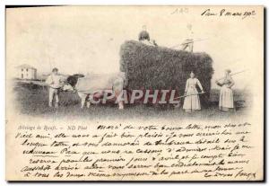 Old Postcard Folklore of oxes Grass