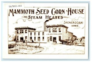 Mammoth Seed Corn House Steam Heated Shenandoah Iowa IA Postcard 