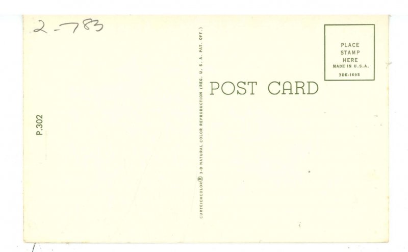 Humor - Never Give Up  (Fishing)