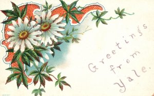 Vintage Postcard Greetings From Yale Colorful Flower Bouquet