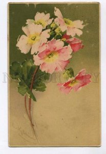 3048863 Pink Flowers by C. KLEIN old Meissner & Buch 1516 RPPC