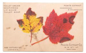 Ponds Extract Advertising Patent Medicine 2 Victorian Trade Cards Autumn Leaves