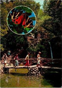 Greece Rhodes Butterflies Valley