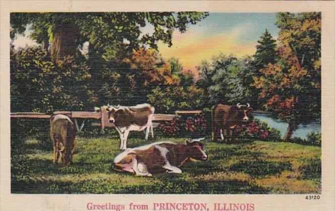 Illinois Greetings From Princeton