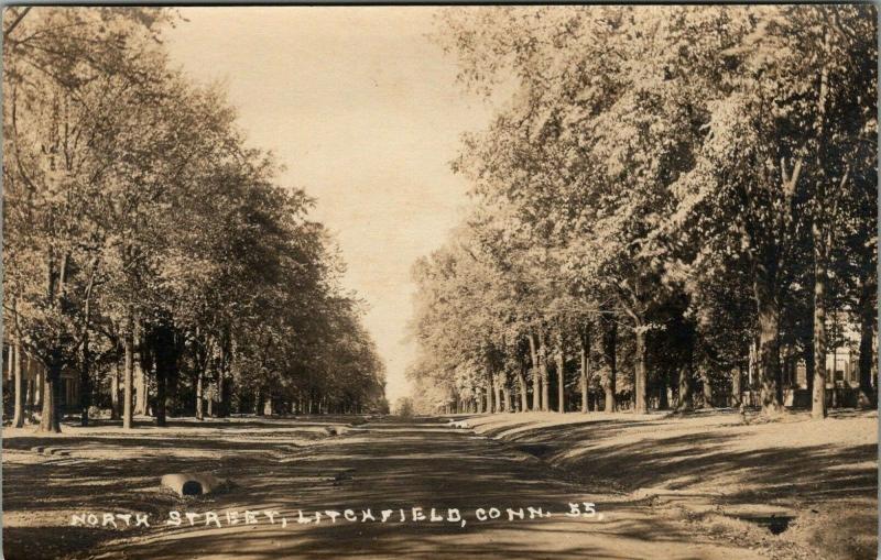 Litchfield Connecticut~North Street Homes Tucked Behind Trees~Tile~1920s RPPC 