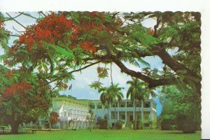 Jamaica Postcard - King's House - Residence of The Governor General - Ref 18951A