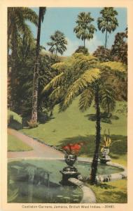 Vintage Postcard Castleton Gardens Jamaica British West Indies Caribbean