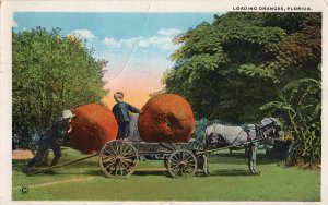 13057 Exaggeration: Loading Florida Oranges on Horse Cart, 1921