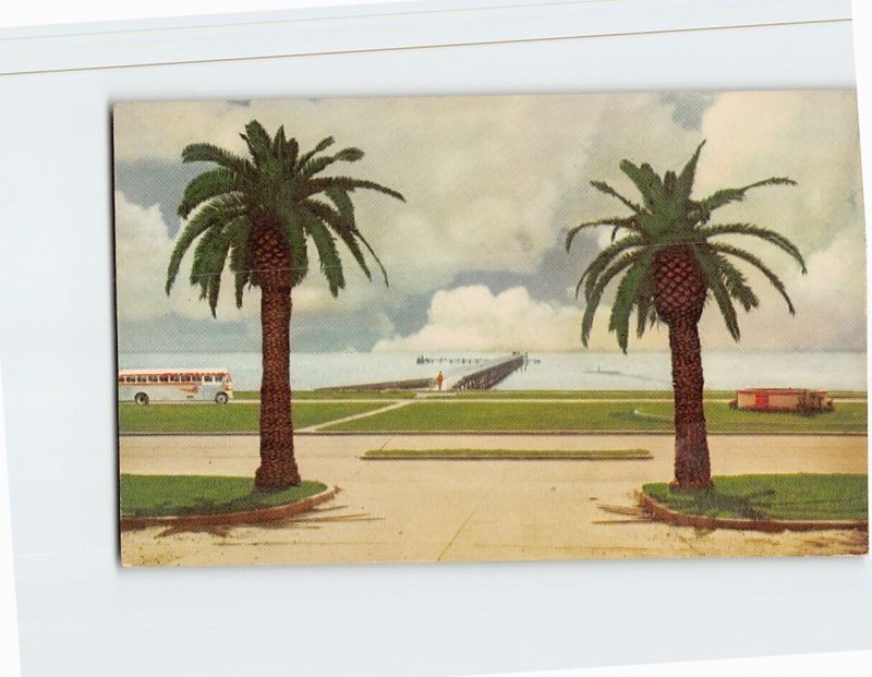 Postcard The Lovely Peaceful Gulf Coast at Biloxi, Mississippi