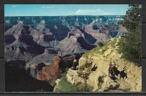 Arizona - Bright Angel Trail - Grand Canyon - [AZ-114]