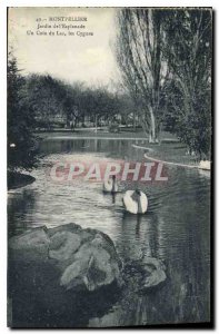 Old Postcard Garden Montpellier Esplanade a corner lake Swans