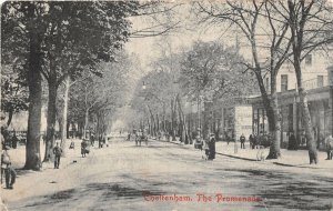 uk41350 the promenade cheltenham  real photo uk