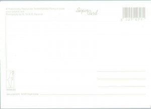 Aerial View Postcard City View Jerusalem, Israel