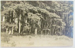 VINTAGE RPPC REAL PHOTO POSTCARD PINE GROVE AT PINE GROVE HOTEL PORT KENT N.Y.