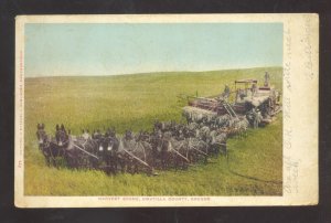 UMATILLA COUNTY OREGON FARMING HARVEST SCENE VINTAGE POSTCARD 1906