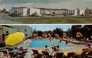 Lexington Kentucky 1950-60s Postcard Campbell House Hotel Swimming Pool