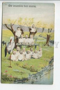 439220 MULTIPLE BABIES & Dressed STORK in HAT Vintage postcard PFB #5511
