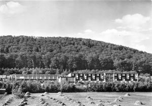 BG15923 bad pyrmont sanatorium dr buchinger  germany CPSM 14.5x9cm