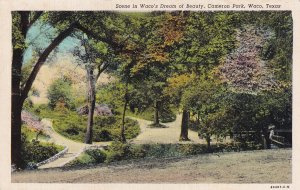 Cameron Park Waco Texas TX Postcard C61