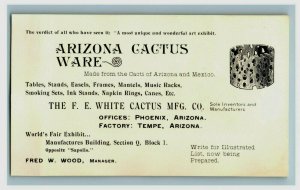 1893 World's Fair Arizona Cactus Ware The F.E. White Cactus MFG. Co. P177