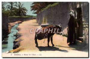 Postcard Old Algeria Biskra Back to Oasis I Donkey Donkey