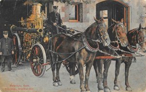 HORSES BROOKLYN DISTRICT FIRE DEPARTMENT WATERBURY CONNECTICUT POSTCARD 1909