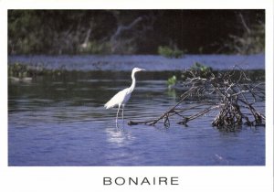 bonaire, N.A., Reddish Egret, White Morph in Mangroves of Lacbay (1990) Postcard