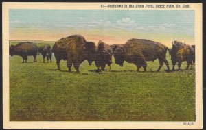 Buffaloes State Park Black Hills South Dakota Unused c1930s