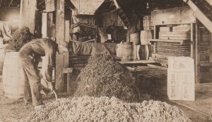 Penn Yan NEW YORK RPPC 1909 INTERIOR WINERY Wine GRAPE PRESS Empire State Wine