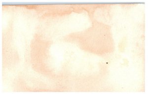 Greetings from Florida Miami Florida Postcard