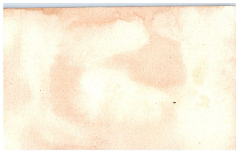 Greetings from Florida Miami Florida Postcard