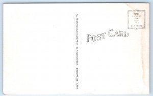 RYE, NH New Hampshire ~ Roadside SNUG HARBOR CABINS c1940s  Postcard