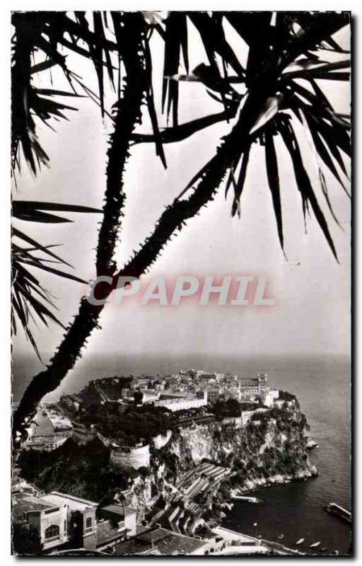 Old Postcard Exotic Garden of Monaco The Rock of Monaco in the foreground vie...