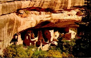 Colorado Mesa Verde National Park Spruce Tree Ruin 1961