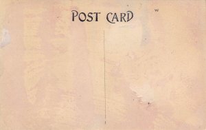 High School Geneva Ohio 1910c postcard