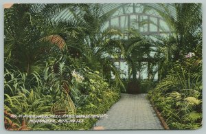 Milwaukee Wisconsin~Mitchell Park Conservatory Palm Room~c1910 Postcard