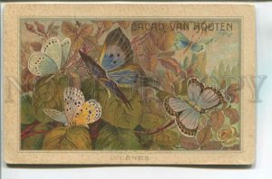 478089 ADVERTISING Cacao VAN HOUTEN cocoa Chocolat BUTTERFLY Lycenes Vintage