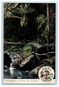 View Of Tropic Jungle On Hawaii Near Honolulu HI Unposted Antique Postcard