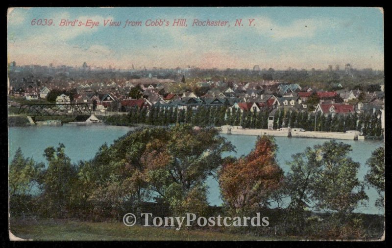 Bird's Eye View from Cobb's Hill, Rochester