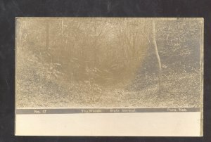 RPPC PERU NEBRASKA STATE NORMAL SCHOOL THE WOODS VINTAGE REAL PHOTO POSTCARD