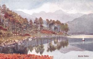 LITTLE LANGDALE UK BLEA TARN~BERNARD HALL WATER COLOUR #669 ARTIST POSTCARD