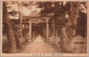 China Path between Trees Vintage Postcard C204