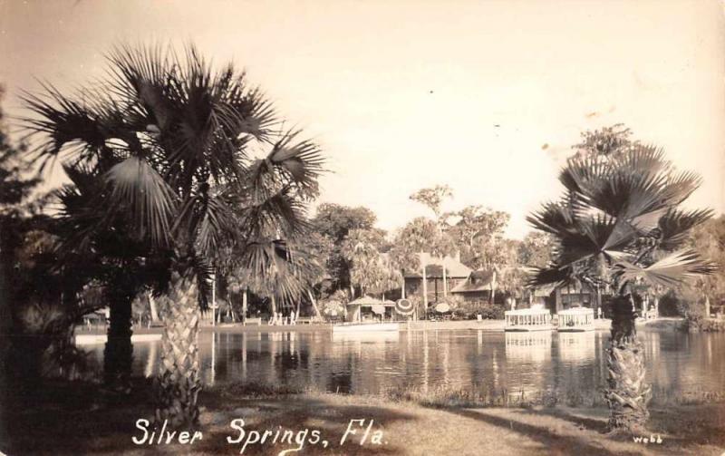 Silver Springs Florida Lake Waterfront Real Photo Antique Postcard K72688