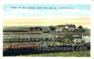 Henry Field Seed Co. - Shenandoah, Iowa IA  